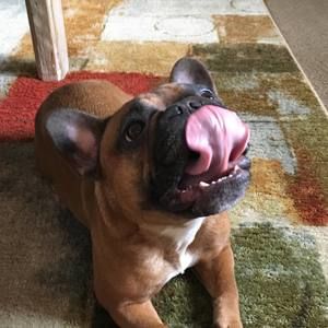 Meet your Posher, Lynn